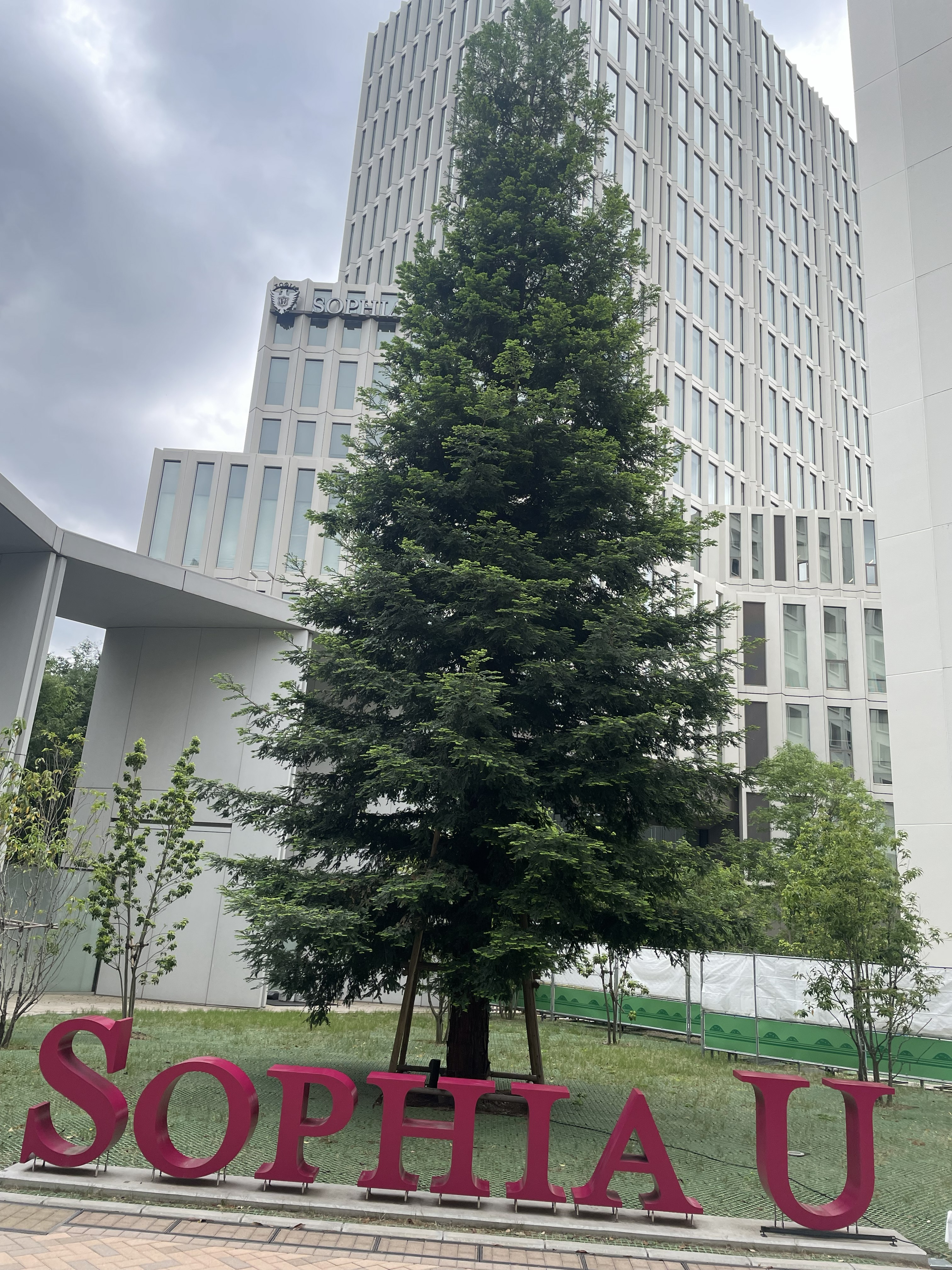 2026.05.Sophia